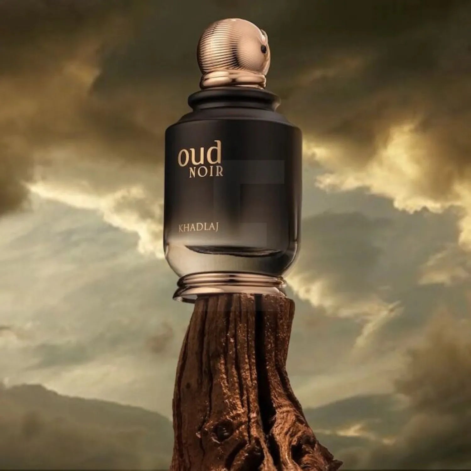 OUD NOIR Perfume Image