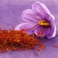 Saffron Fragrance Perfumes